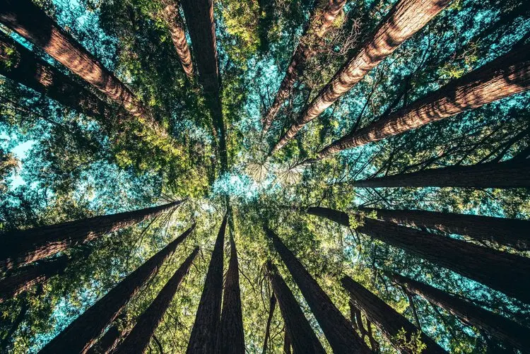 sustainability